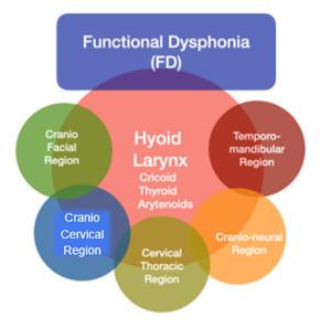 06 Dysphonie